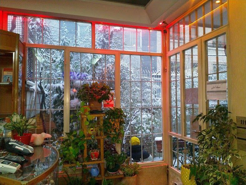 photo_2025-04-20_18-50-13